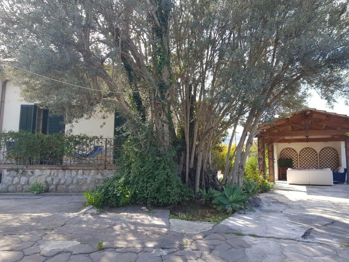 Villa Serrano - Palermo